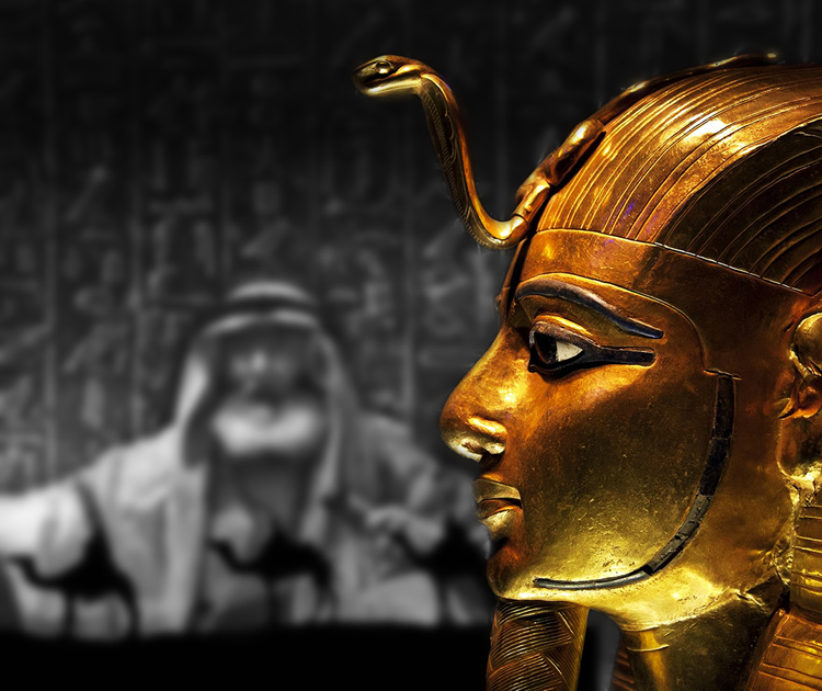Egypt knew no Pharaohs cover art-15-3-blurred bakground-1-resized