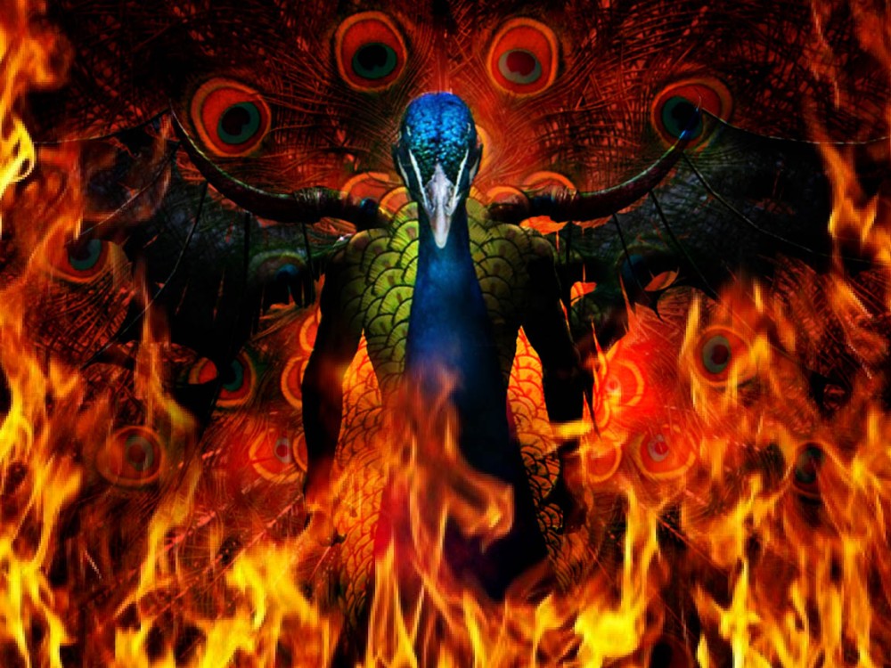 peacock-satan-5